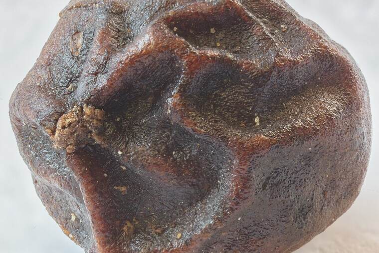 Paté de pimienta