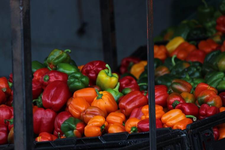 Pimiento morrón en conserva
