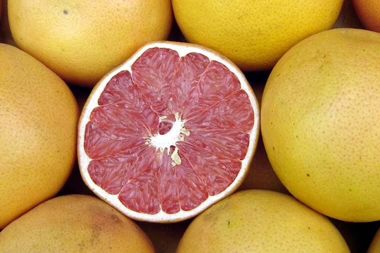 Pomelo