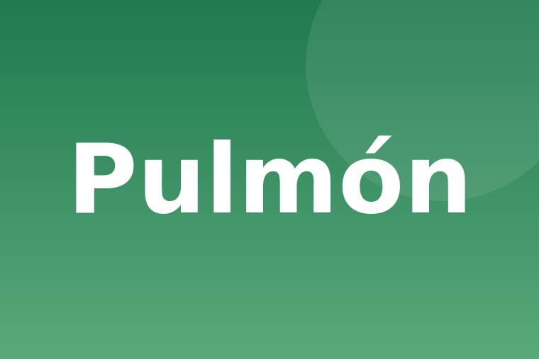 Pulmón de cerdo crudo