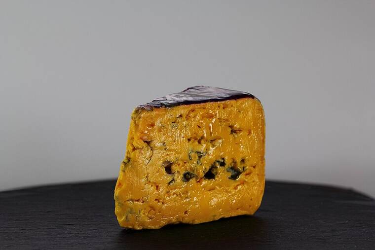 Queso de castilla-león oveja y vaca