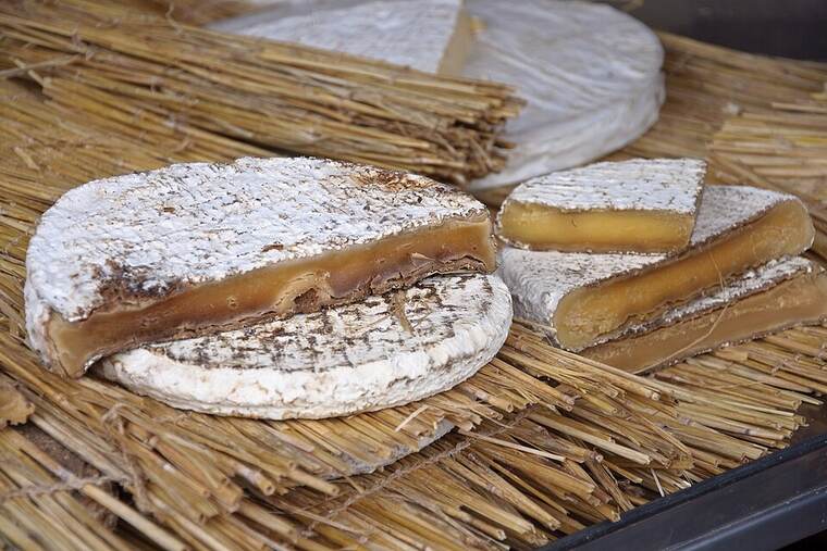 Detalle de queso brie