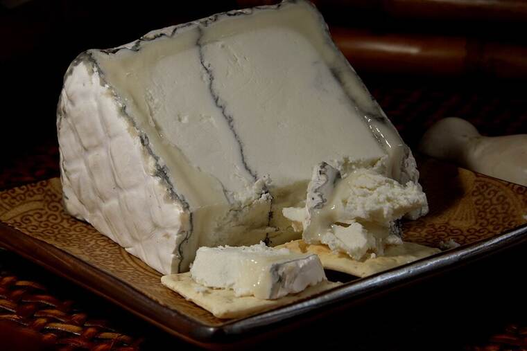 Detalle de queso cabra curado