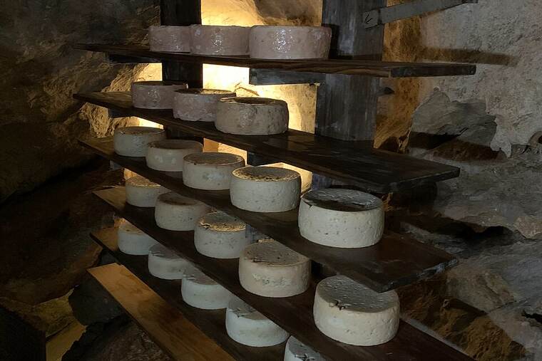 Queso cabrales
