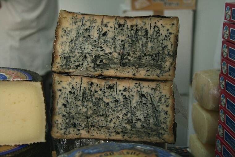 Queso de castilla-león oveja y vaca