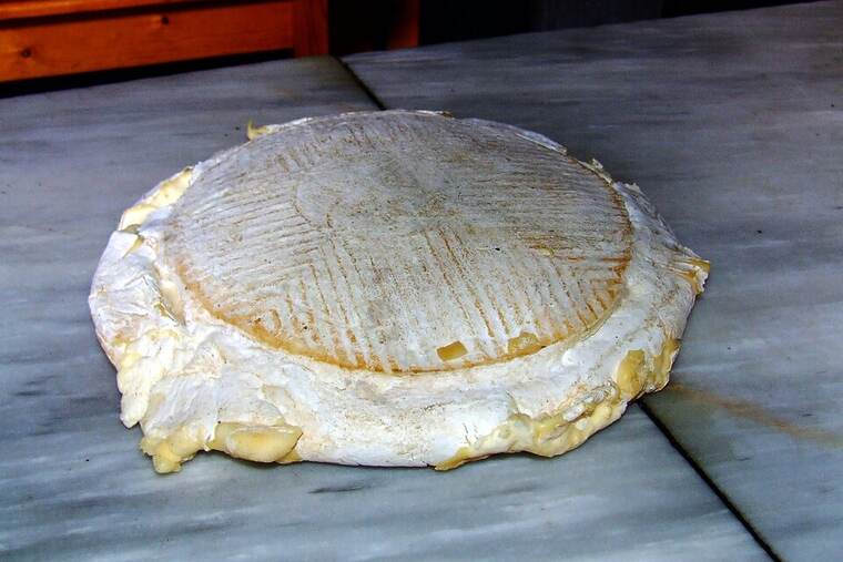 Queso flor de guía