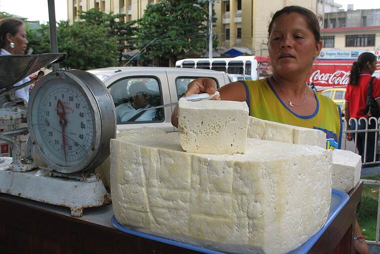 Queso fresco de burgos