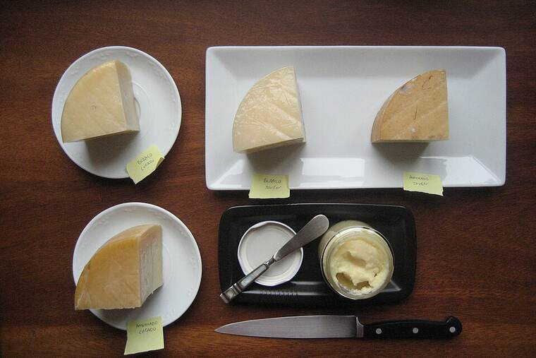 Queso gaztazarra