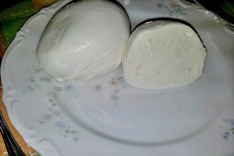 Queso mozzarella