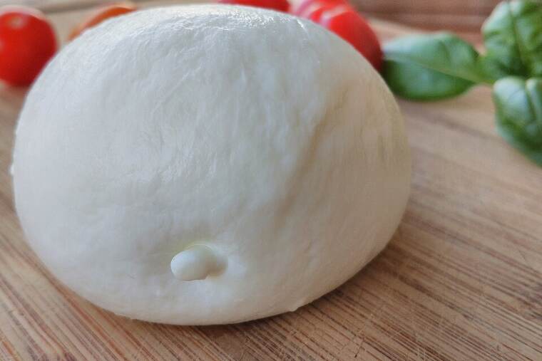 Detalle de queso mozzarella