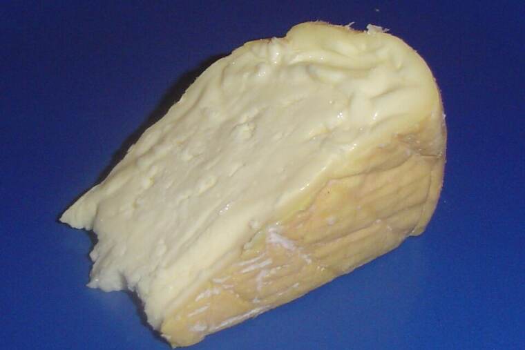 Queso munster