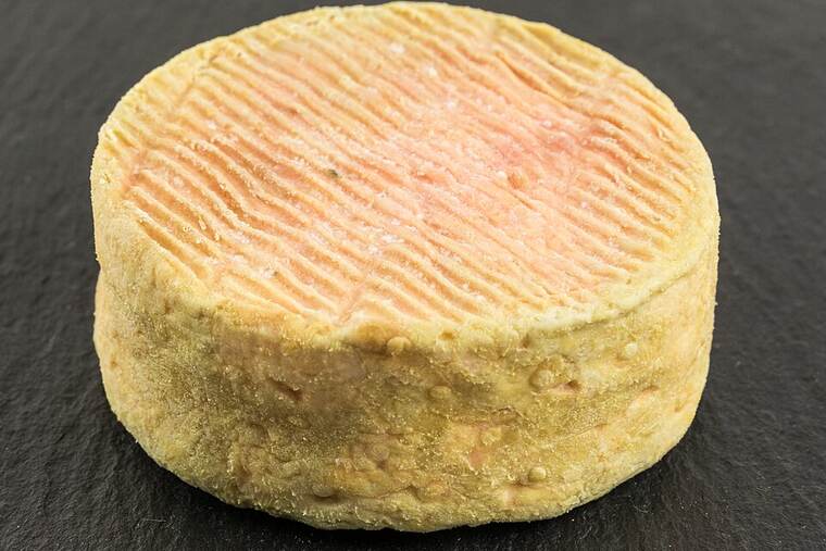 Detalle de queso munster