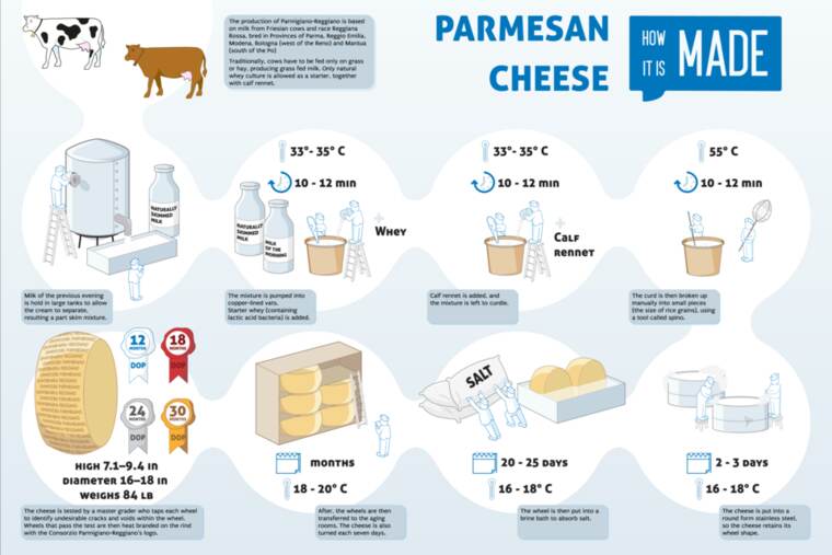 Queso parmesano