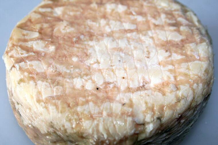 Queso porrúa