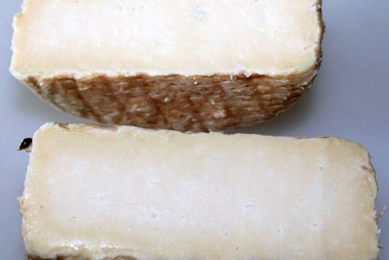 Detalle de queso porrúa
