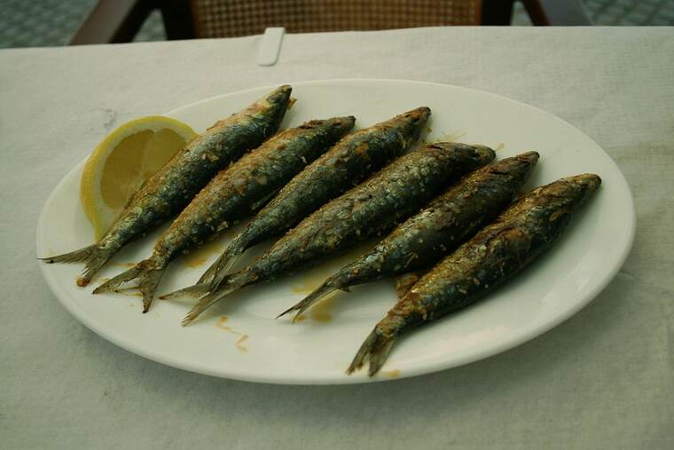 Sardina