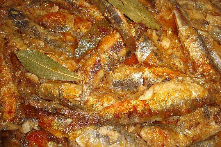 Sardina
