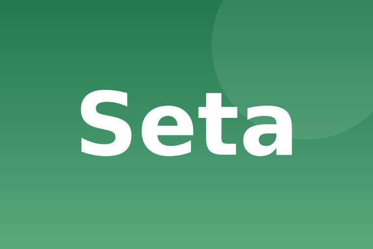 Detalle de seta plancha