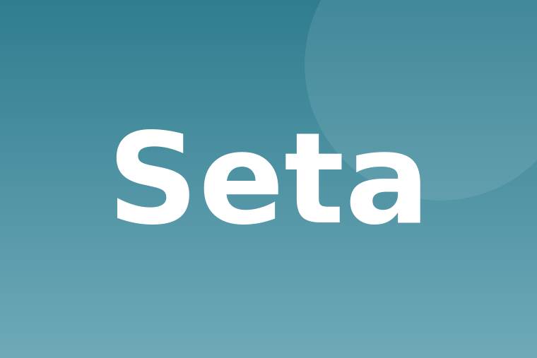 Seta plancha