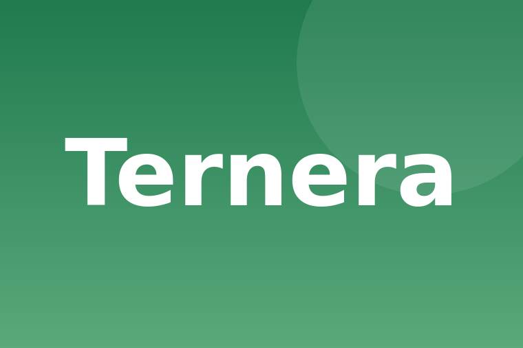 Detalle de ternera parte sin especificar asada