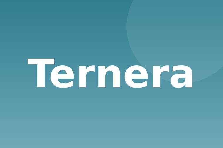 Ternera parte sin especificar asada