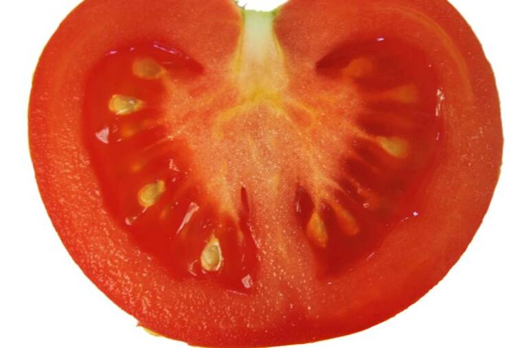 Tomate maduro puré