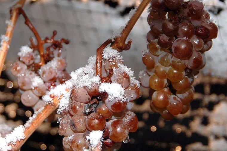 Detalle de vinagre de vino
