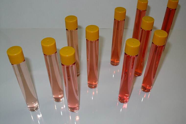 Vino rosado
