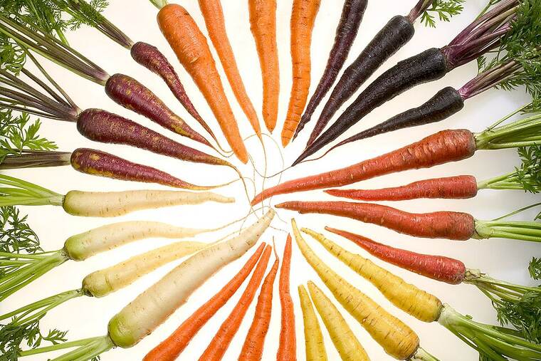 Zanahoria cruda, uno de los ingredientes de receta de barras de zanahoria
