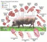 Carne de cerdo de capa blanca, chuleta, parte magra, cruda