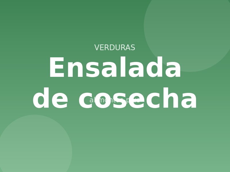 Receta de ensalada de cosecha