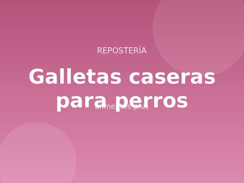 Receta de galletas caseras para perros