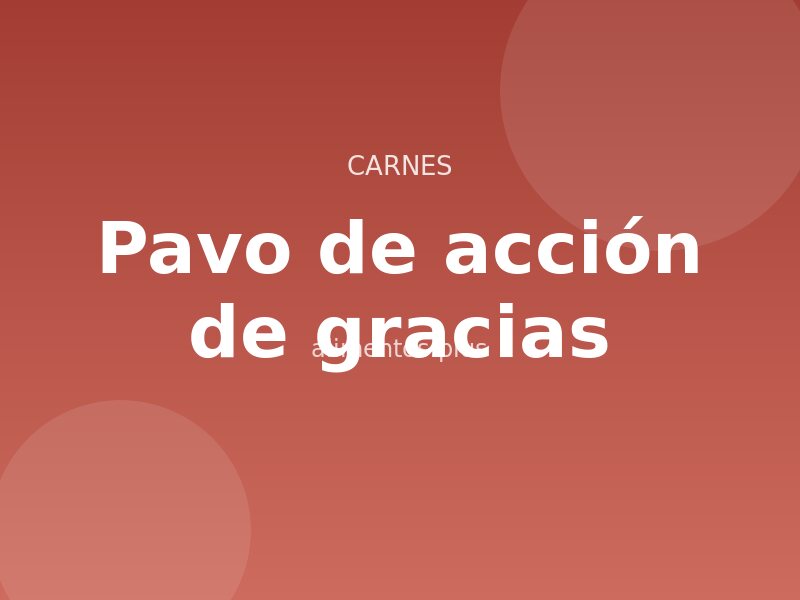 Receta de pavo de acción de gracias