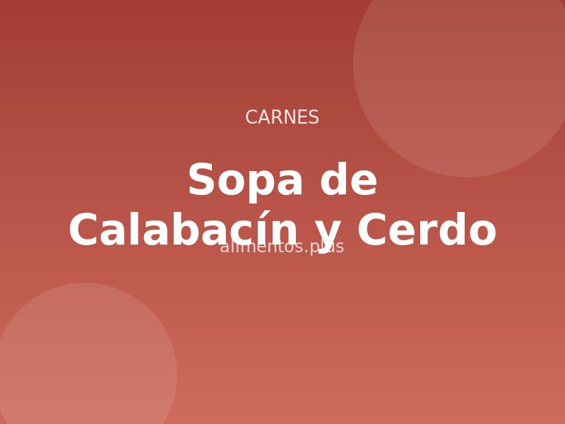 Receta de Sopa de Calabacín y Cerdo