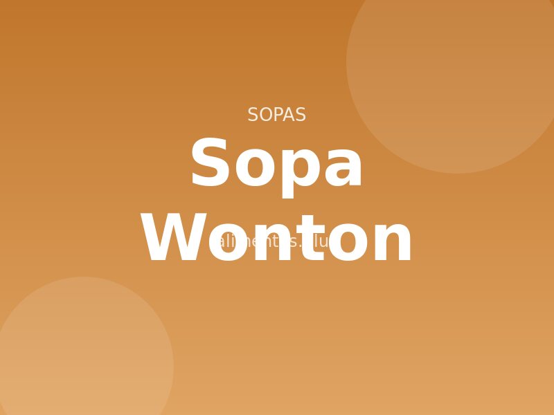 Receta de Sopa Wonton
