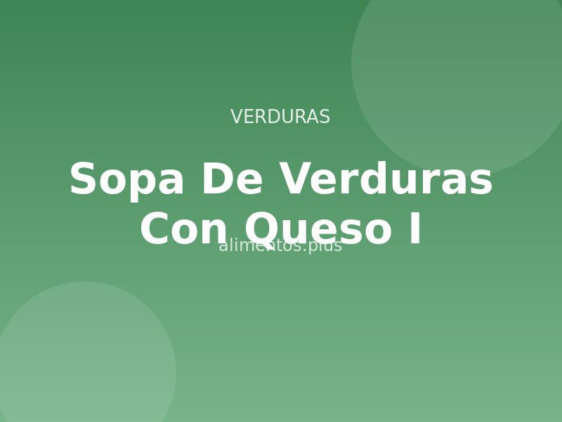 Sopa de Verduras con Queso (I)