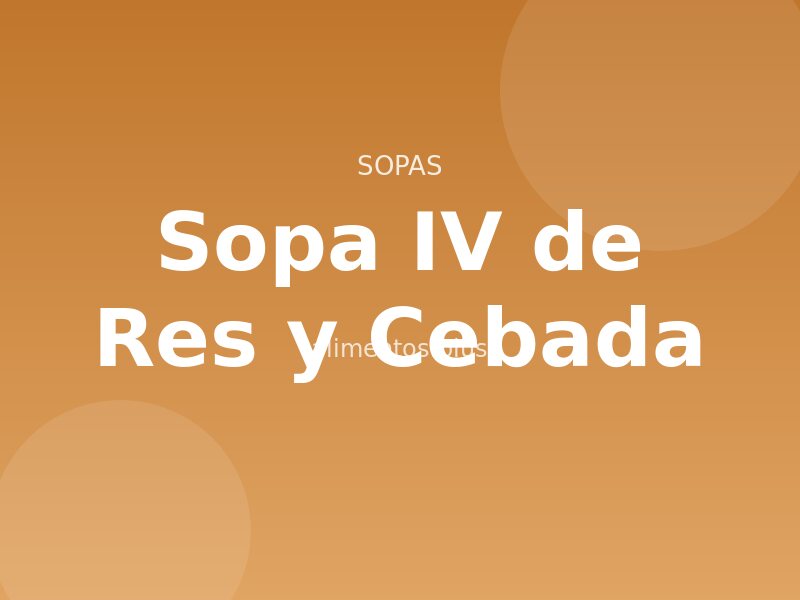 Sopa IV de Res y Cebada